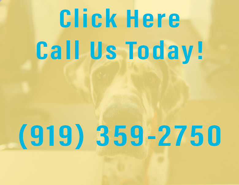 Full-Service Pet Hospital