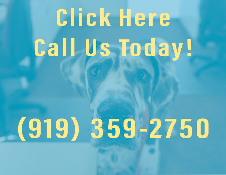Full-Service Pet Hospital